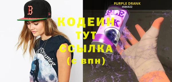 индика Гусиноозёрск