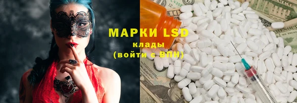 индика Гусиноозёрск