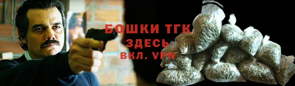 хмурый Горно-Алтайск
