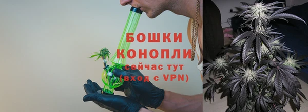 индика Гусиноозёрск