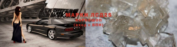 индика Гусиноозёрск