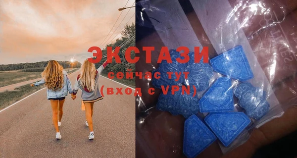 индика Гусиноозёрск
