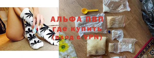 индика Гусиноозёрск