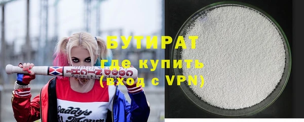 индика Гусиноозёрск