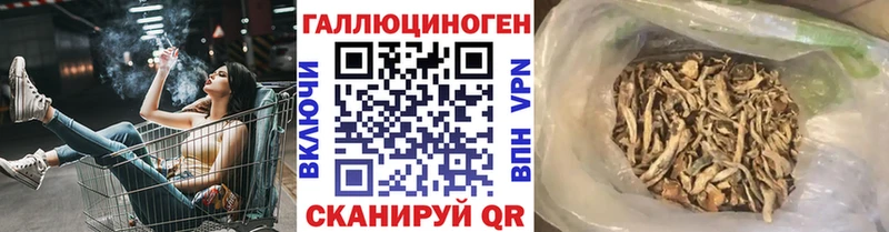 Псилоцибиновые грибы MAGIC MUSHROOMS  Купить закладки  Невельск 
